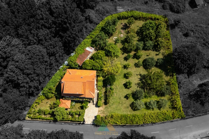 Top-down drone view of the full plot